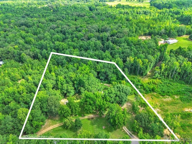 570 Titus Rd, Titus, AL 36080 - photo 51