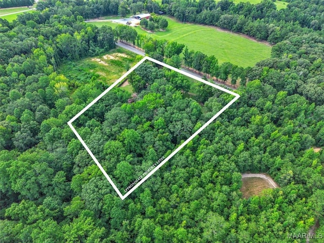570 Titus Rd, Titus, AL 36080 - photo 54