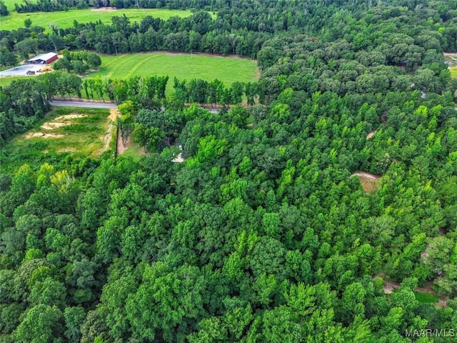 570 Titus Rd, Titus, AL 36080 - photo 40