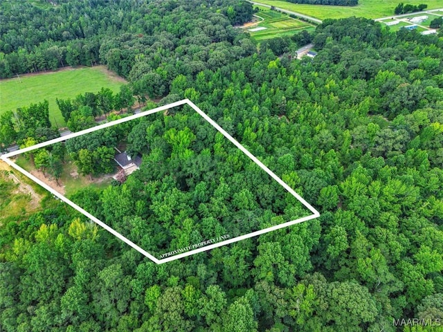 570 Titus Rd, Titus, AL 36080 - photo 41