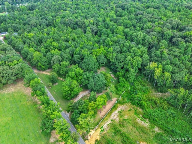570 Titus Rd, Titus, AL 36080 - photo 43