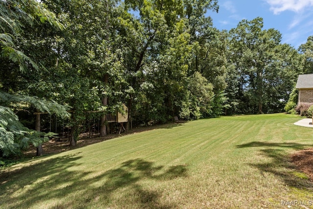 6313 Philadelphia Hl, Montgomery, AL 36117 - photo 41