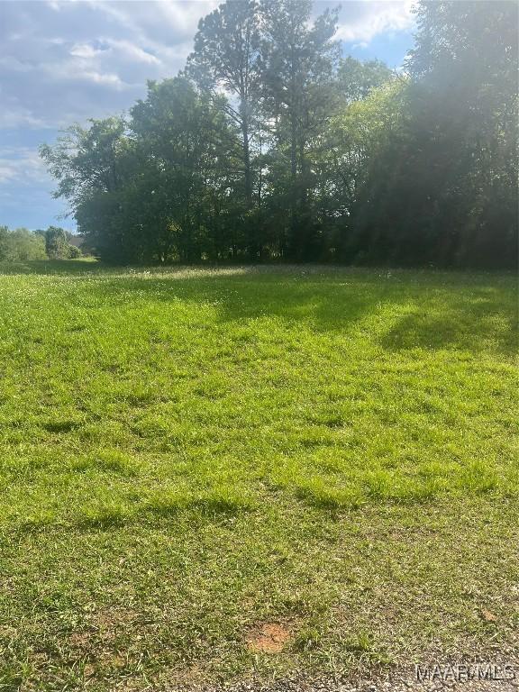 269 Hayneville Ridge Rd, Mathews, AL 36052 - photo 1