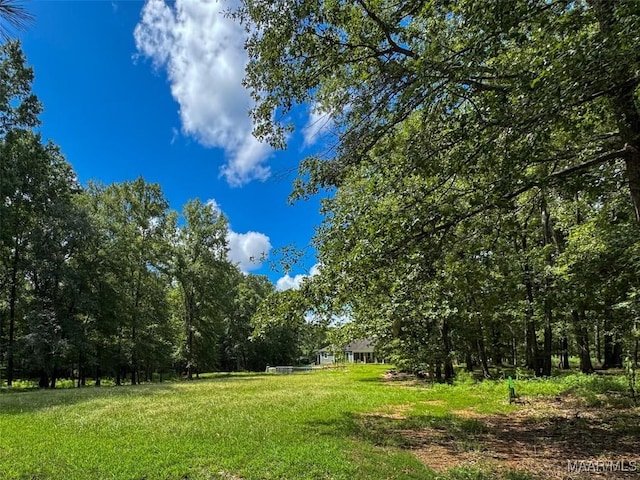 13819 Old Pike Rd, Mathews, AL 36052 - photo 5