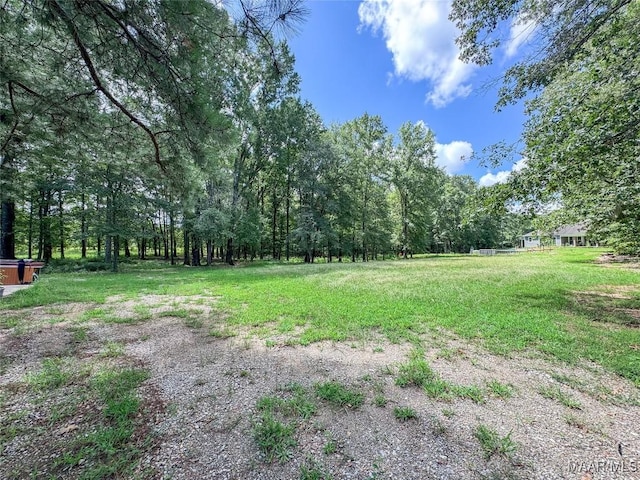 13819 Old Pike Rd, Mathews, AL 36052 - photo 7