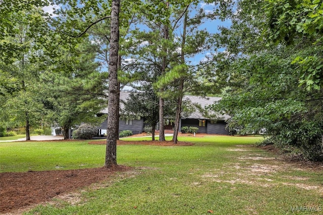 116 Hilyer Rd, Dadeville, AL 36853 - photo 40