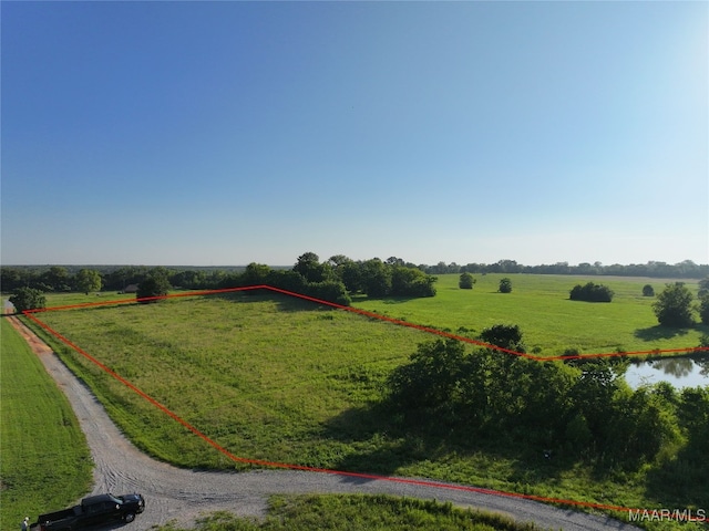 11 Mathews Rd, Mathews, AL 36013 - photo 3