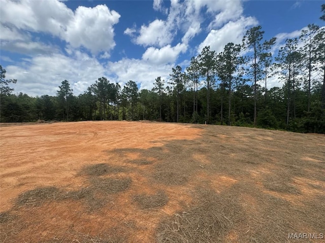 706 Happy Trails Rd, Prattville, AL 36067 - photo 5