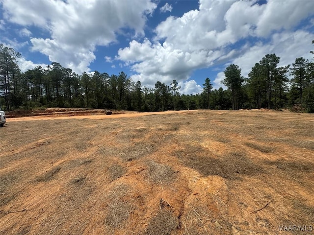 706 Happy Trails Rd, Prattville, AL 36067 - photo 6