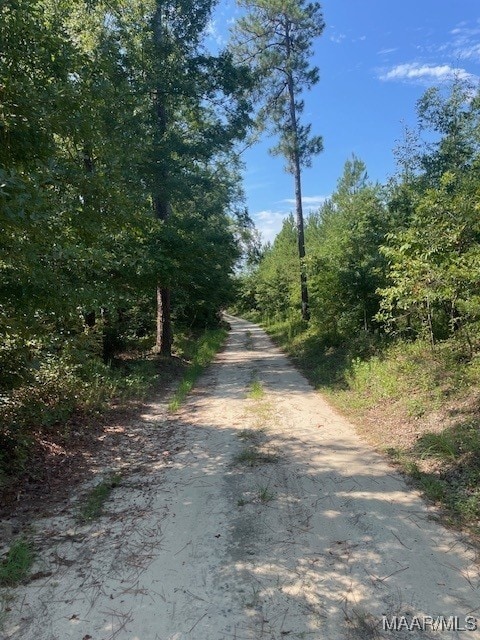 90 Archie Dr, Eufaula, AL 36027 - photo 2