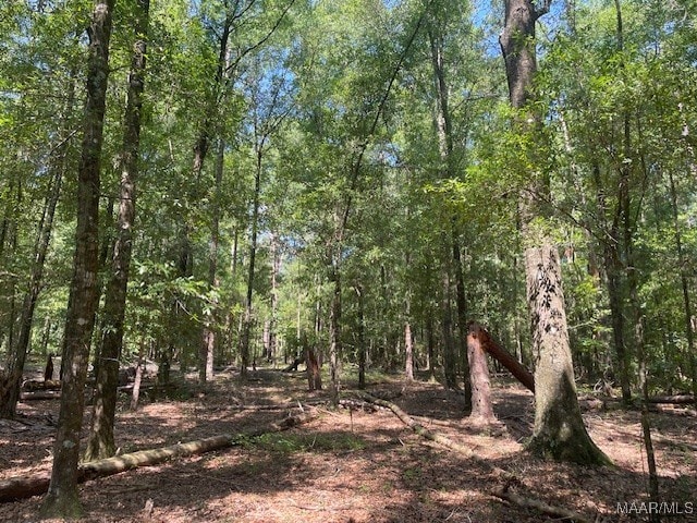 90 Archie Dr, Eufaula, AL 36027 - photo 4