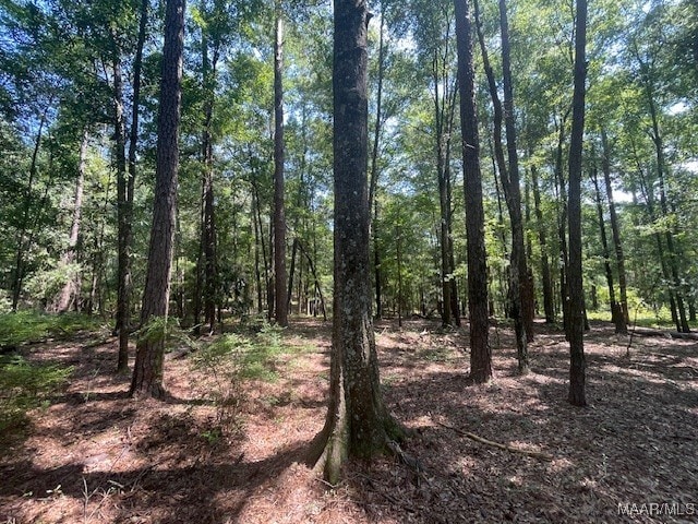90 Archie Dr, Eufaula, AL 36027 - photo 6