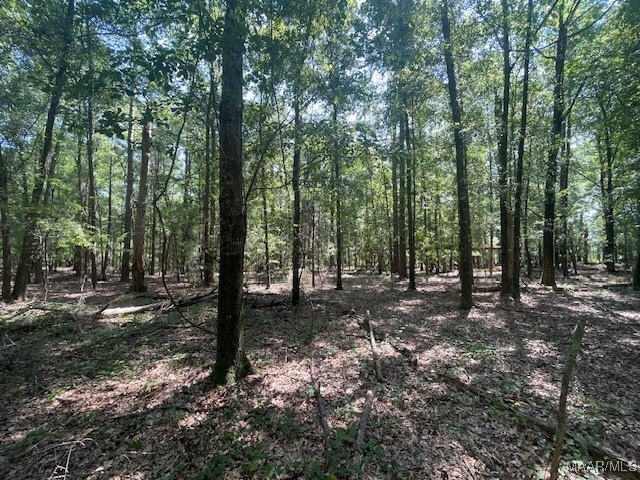90 Archie Dr, Eufaula, AL 36027 - photo 7