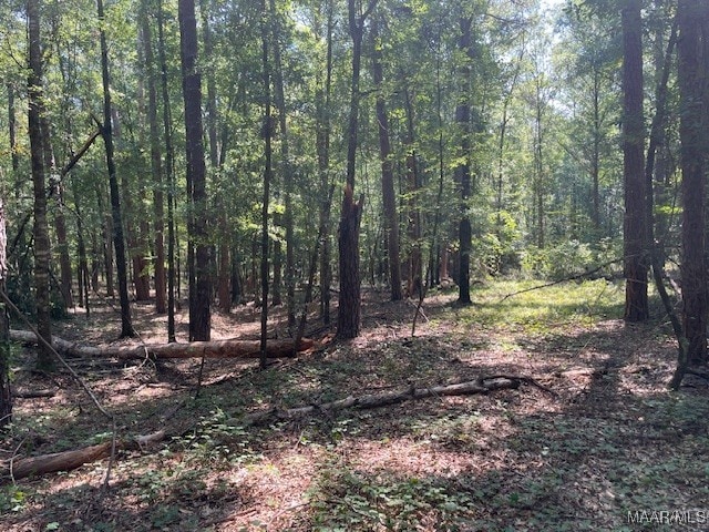 90 Archie Dr, Eufaula, AL 36027 - photo 9