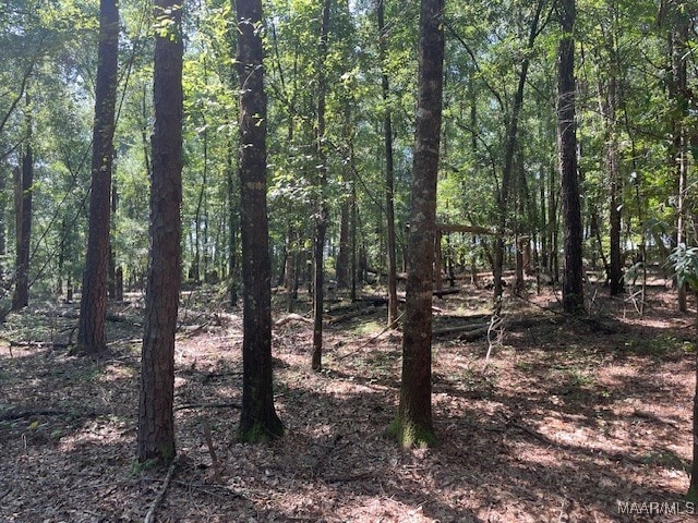 90 Archie Dr, Eufaula, AL 36027 - photo 11