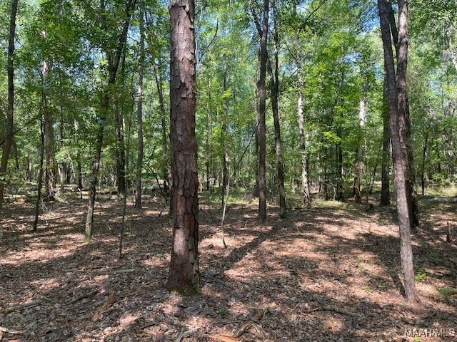 90 Archie Dr, Eufaula, AL 36027 - photo 12