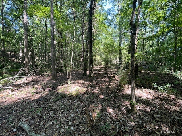 90 Archie Dr, Eufaula, AL 36027 - photo 14