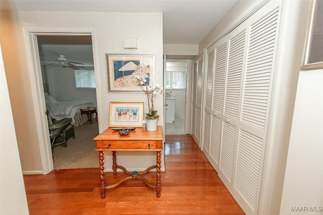 1806 Hillwood Dr, Montgomery, AL 36106 - photo 41
