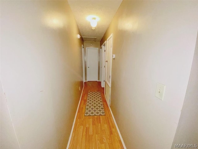 hall featuring light wood-type flooring