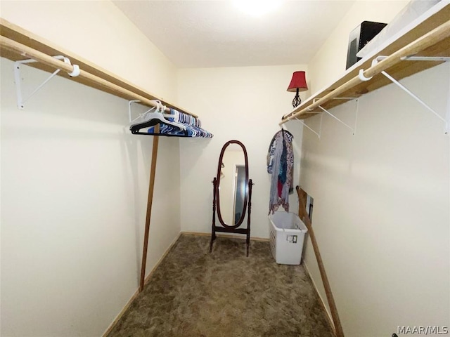 walk in closet with dark carpet