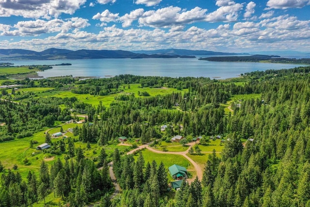 drone / aerial view with a water and mountain view