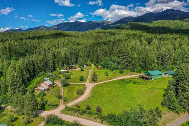 bird's eye view with a mountain view