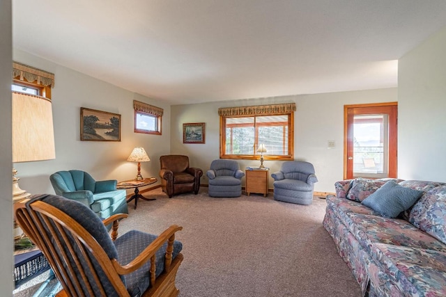 living room featuring carpet floors