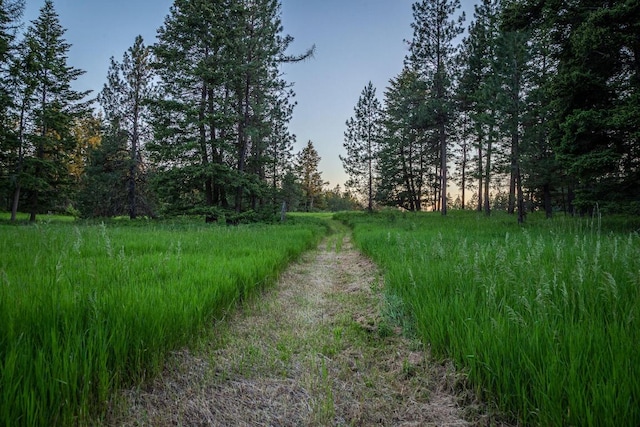 view of nature at dusk