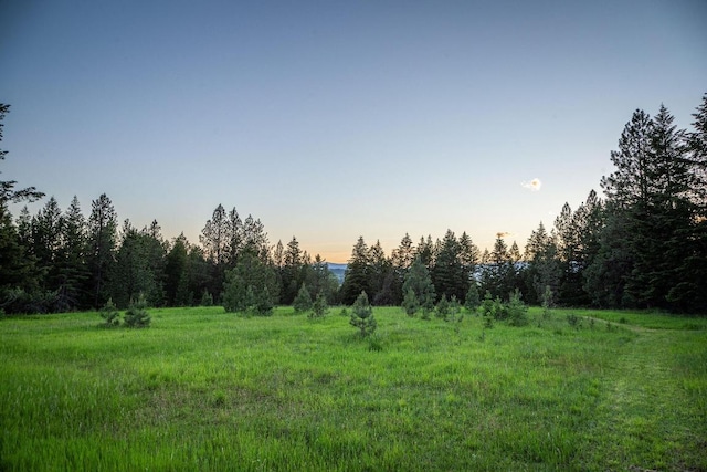 view of nature at dusk