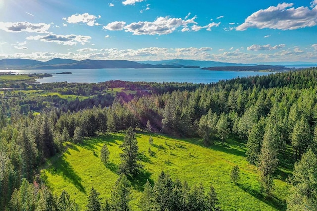 drone / aerial view with a water and mountain view