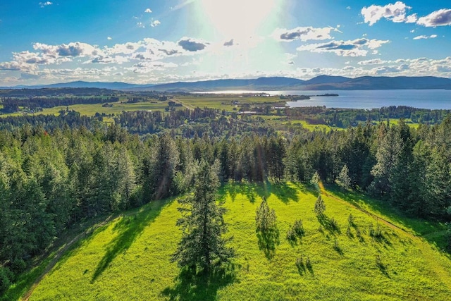 aerial view featuring a water and mountain view