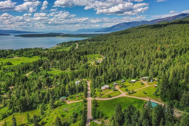 birds eye view of property featuring a water and mountain view