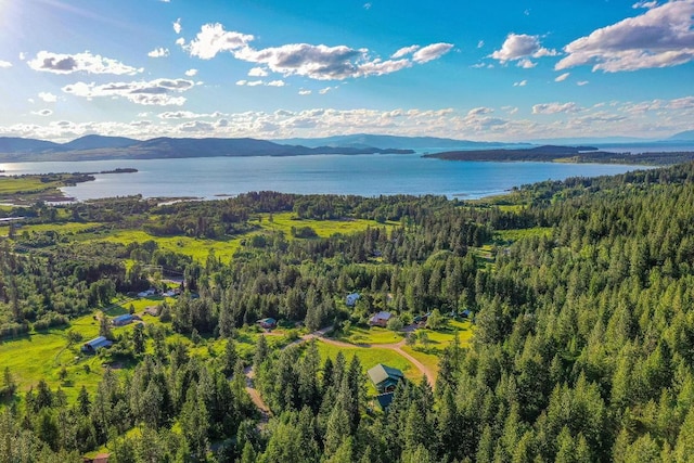 drone / aerial view featuring a water and mountain view