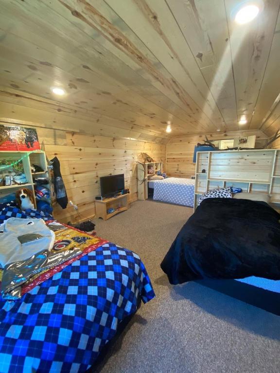 carpeted bedroom with wood walls and wood ceiling