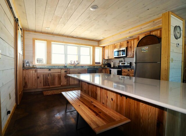 kitchen featuring wooden ceiling, appliances with stainless steel finishes, a barn door, and a wealth of natural light