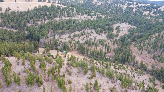 view of drone / aerial view