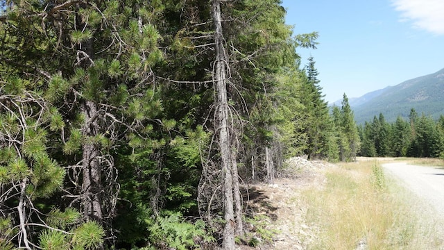 000 Kyran Ln, Troy MT, 59935 land for sale