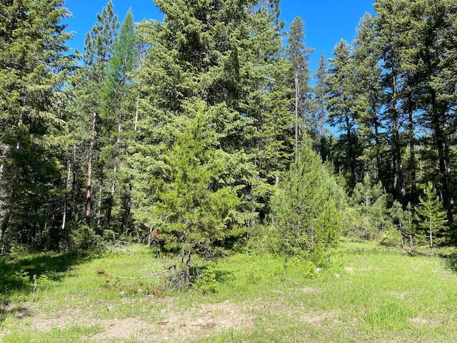 Listing photo 3 for NHN Mcwhorter Ln, Saint Regis MT 59866