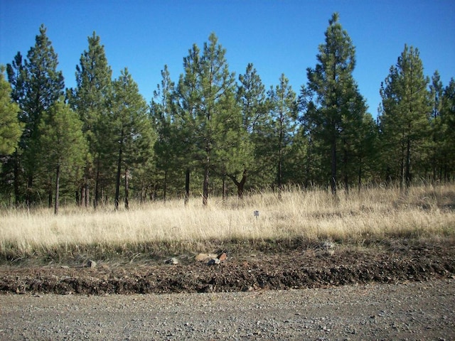 LOT23 Leiber Ln, Plains MT, 59859 land for sale