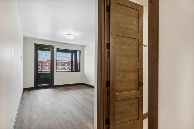 hall featuring wood-type flooring