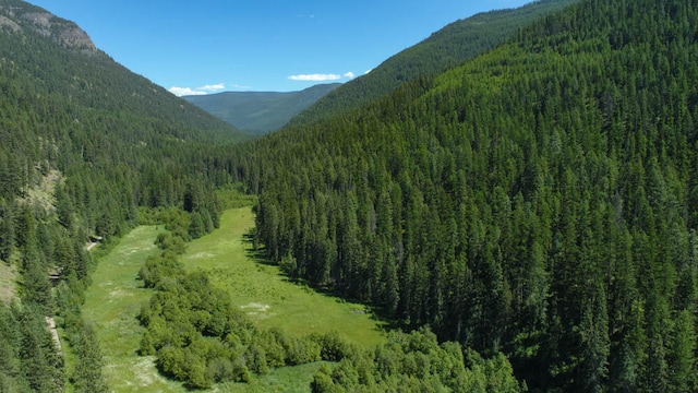 2013 Five Mile Creek Rd, Libby MT, 59923 land for sale