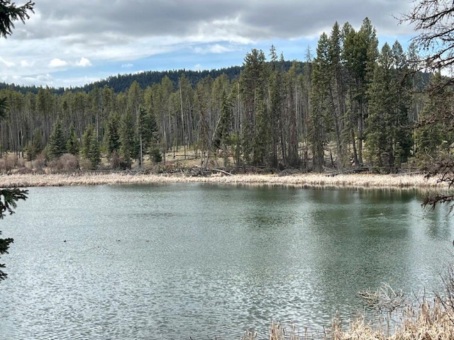 Listing photo 2 for 281 Daisy Ln, Seeley Lake MT 59868