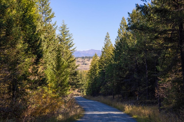 NHN Gut Creek Rd, Eureka, MT 59917