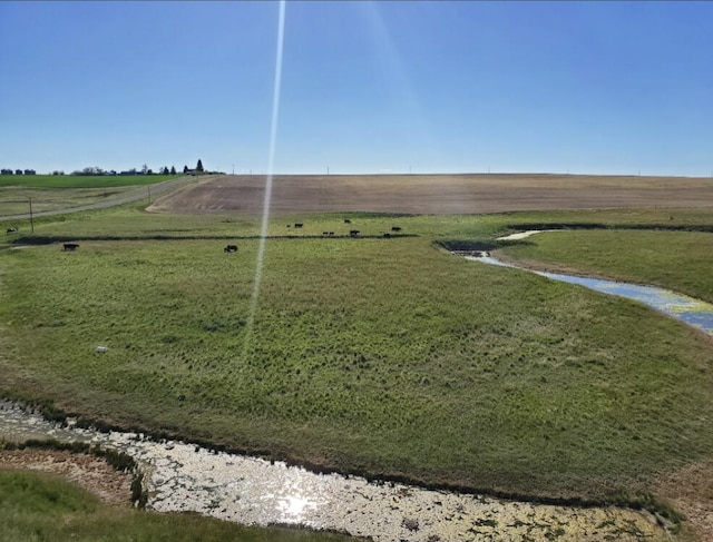 view of yard featuring a rural view