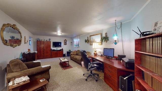 office with ornamental molding and light colored carpet