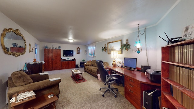 carpeted office with crown molding