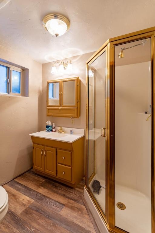 bathroom with walk in shower, toilet, hardwood / wood-style floors, and vanity