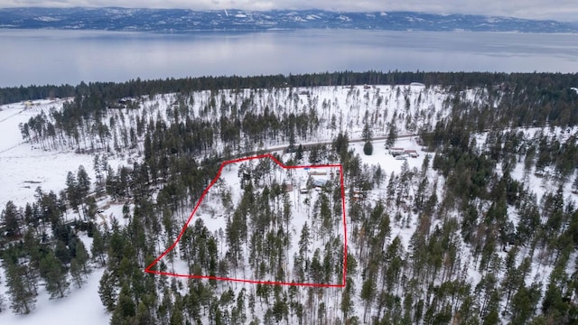 snowy aerial view featuring a water and mountain view