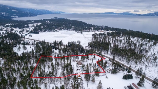 snowy aerial view featuring a mountain view