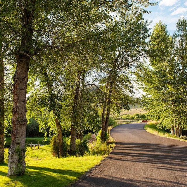 view of road